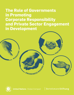 The Role of Governments in Promoting Corporate Responsibility