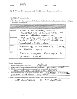 Page 1 ** – ` ` ---|--— A. The chart below shows key terms for the