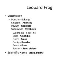 Frog Parts and Functions Click Here