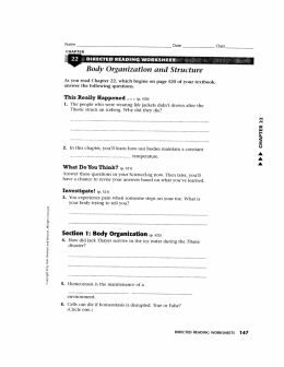 Body Organization and Structure