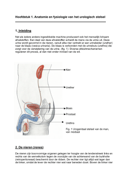 Hoofdstuk 1. Anatomie en fysiologie van het urologisch