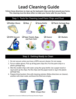 Lead Cleaning Guide