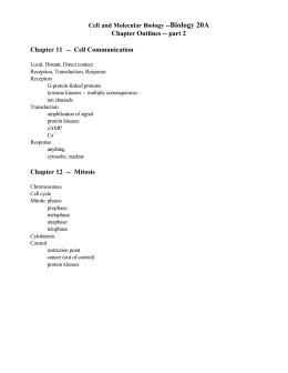 Chapter Outlines -- part 2 Chapter 11 -