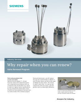 Why repair when you can renew ? Valve renewal services.