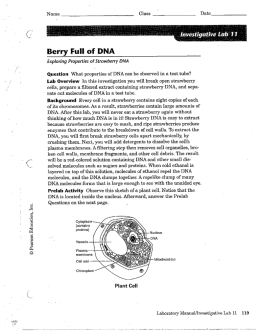 Berry Full of DNA