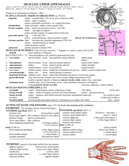 MUSCLES: UPPER APPENDAGES