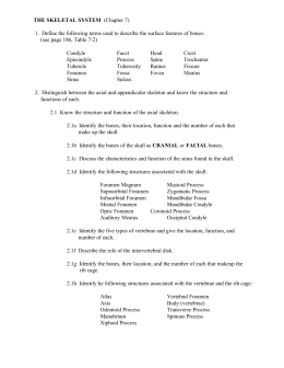 THE SKELETAL SYSTEM (Chapter 7) 1. Define the following terms