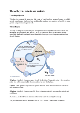The cell cycle, mitosis and meiosis