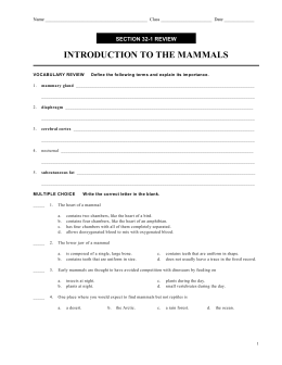 introduction to the mammals