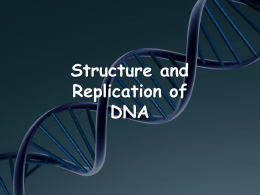 Structure and Replication of DNA