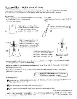 How we breathe/make a model lung
