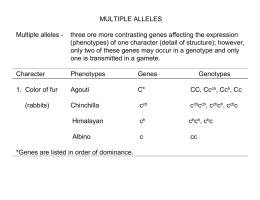 MULTIPLE ALLELES Multiple alleles