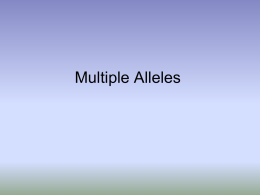 Multiple Alleles