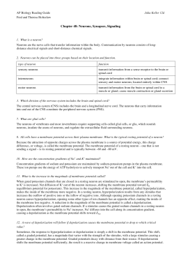 Chapter 48: Neurons, Synapses, Signaling - Biology E