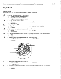 Chapter 3: Cells