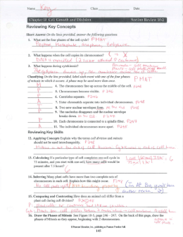 Reviewing Key Concepts