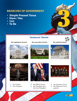 BRancHeS oF GoVeRnMenT • Simple Present Tense • Have / Has