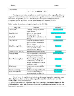 Cell City Worksheet Answer Key