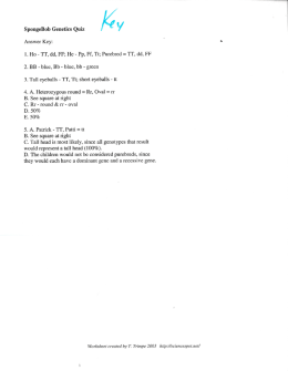 Page 1 SpongeBob Genetics Quiz y Answer Key: 1. Ho