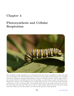Chapter 4 - Photosynthesis and Cellular Respiration