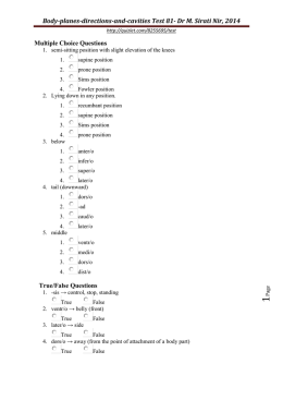 Body-planes-directions-and-cavities Test 81