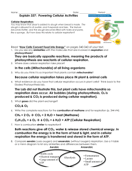 7-4 Powering Cellular Activity Answer Key