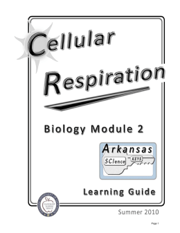 Cellular Respiration