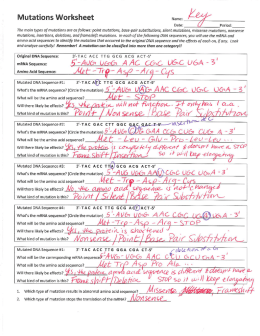 Mutations Worksheet
