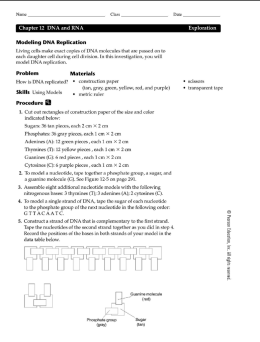 Ch. 12 Exploration: Modeling DNA Replication