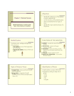 1 Chapter 5: Skeletal System Objectives Skeletal System Types of