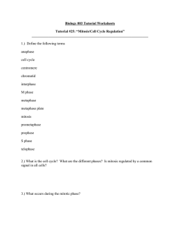 Biology 003 Tutorial Worksheets Tutorial #25: “Mitosis/Cell Cycle