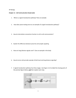1. What is a signal transduction pathway? Give an example 2. How