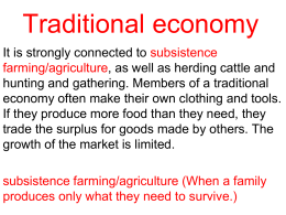 Traditional economy