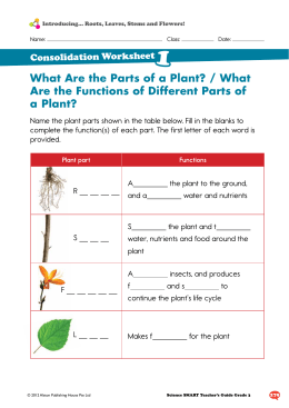 What Are the Parts of a Plant? / What Are the Functions of