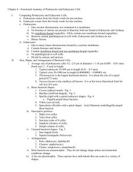 Chapter 4 Lecture Notes