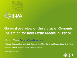 General overview of the status of genomic delection for beef cattle
