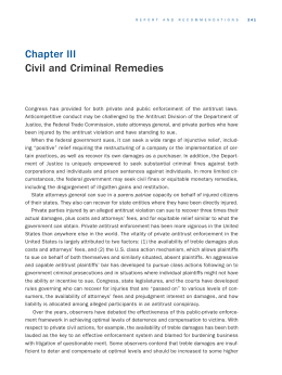 Chapter III Civil and Criminal Remedies