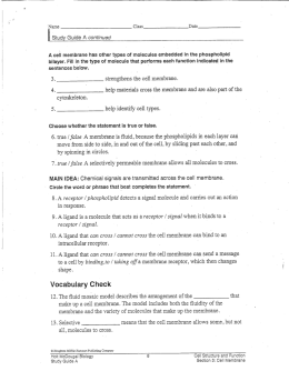 Study Guide A continued