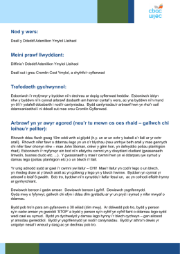 Nod y wers: Meini prawf llwyddiant: Trafodaeth gychwynnol: Arbrawf