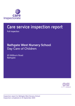 Care service inspection report