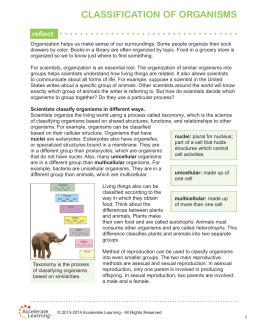 classification of organisms