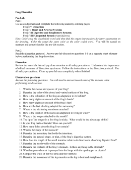 virtual frog dissection worksheet answer key pdf