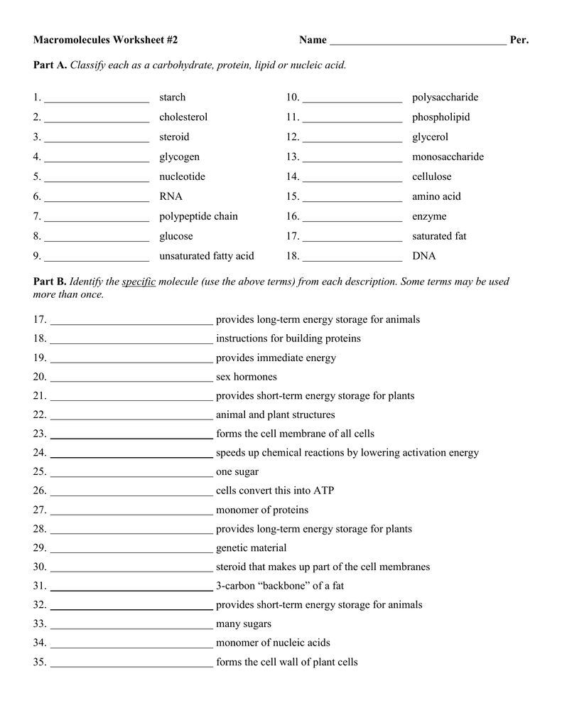 Macromolecules Worksheet #20 Intended For Building Macromolecules Worksheet Answers