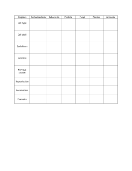 Kingdom Archaebacteria Eubacteria Protista Fungi Plantae Animalia