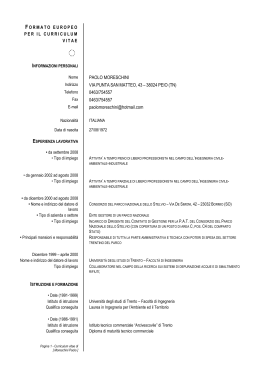 Curriculum vitae (File "Curriculum Moreschini Paolo
