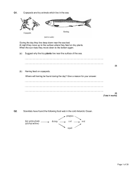 Energy and biomass in food chains