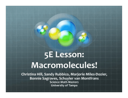 5E Lesson: Macromolecules!