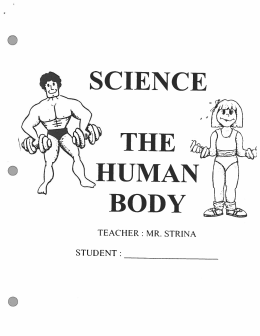 TEACHER : MR. STRINA STUDENT :