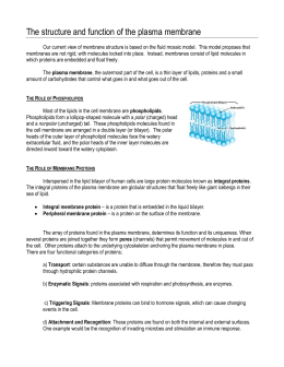 The structure and function of the plasma membrane
