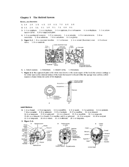 skeletal system study guide key scans